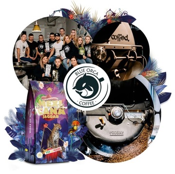 НАБОР КОФЕ В ЗЕРНАХ 2 КГ - СВЕЖЕОБЖАРЕННЫЕ - ИЗ КОФЕОБРАБОТКИ BLUE ORCA