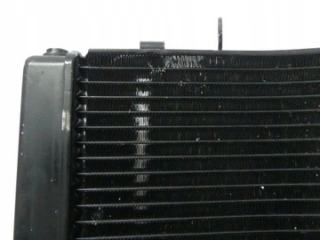 Полем Триумф скорость тройной 1050 11 + CH0 Cooler