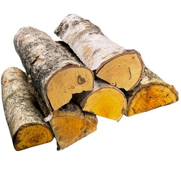 Drewno do kominka ognisko grill kominkowe do wędzenia opał BRZOZA 10kg