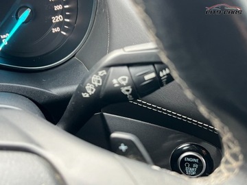 Ford Kuga III 2019 Ford Kuga 2.0 Diesel 180 KM Automat VIGNALE FULL OPCJA 2.0, zdjęcie 22