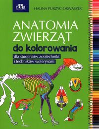 Anatomia zwierząt do kolorowania ZOOTECHNIK WETERYNARIA
