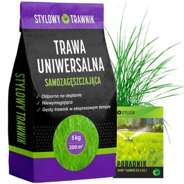 TRAWA Zagęszczająca Odporna na Deptanie Nasiona Kostrzewa UNIWERSALNA 5kg
