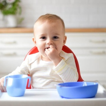 BIDON B.BOX Miseczka talerzyk DOIDY BOWL Zestaw