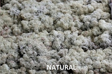 Мох оленьего краба 15 цветов 1кг