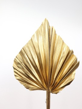 Пальмовый лист, золотистый цвет, сушки для торта, экзотические сухофрукты.