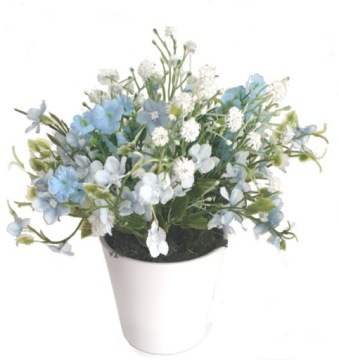 MACIEJKA KWIATY MACIEJKI W CERAMICZNEJ DONICZCE