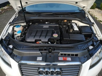 Audi A3 8P Hatchback 3d 2.0 TDI CR 140KM 2009 Audi A3 2.0 TDI 140KM # Klimatr # Ledy # Bi-XENON, zdjęcie 23