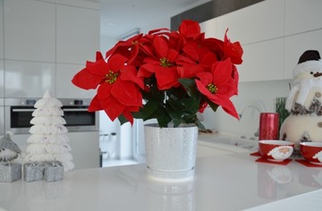 элегантный белый цветочный горшок GLAMOUR 14 FLOWER COVER