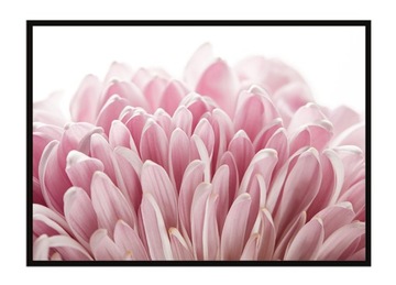 OBRAZ PLAKAT RAMA 53x73 cm Geometria Morze P1682