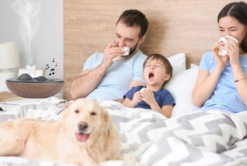 Aroma RELAX – красивый, элегантный с функцией Bluetooth