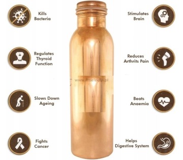 Бутылка для воды Fern медная 950 мл