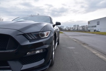 Ford Mustang VI 2015 FORD USA MUSTANG coupe 3.7 309 KM, zdjęcie 8