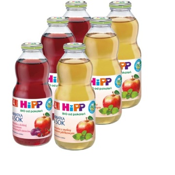 HiPP BIO Herbatka & Sok BIO po 4. miesiącu MIX smaków 500ml x6
