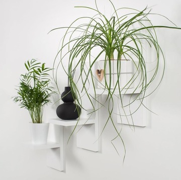 Настенная подставка для цветов, подвесная полка для растений, 3 шт., украшение гостиной.