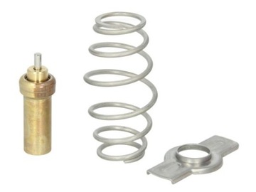 TERMOSTAT CIECZY CHŁODZĄCEJ (79-C, Z USZ Thermotec D2IV006TT Uszczelka,