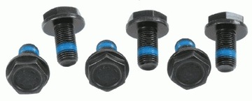 SACHS 3096 005 000 SADA ŠROUBY KOLA SETRVAČNÍKU