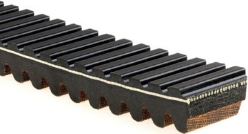 Gates 40G3569 Pasy napędowe CVT