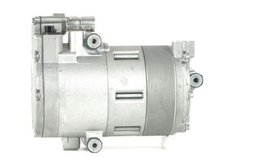 100 ACP 1454 000P KOMPRESOR KLIMATIZACE