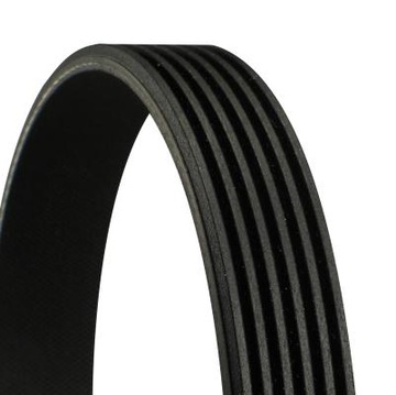 Continental 6PK1693 Pasek klinowy wielorowkowy