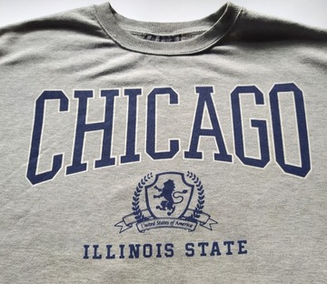 Bluza Tricolor Primark Chicago Illinois State