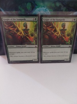 MTG: 2x Knight of the Stampede *(138/196)