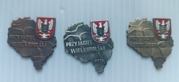 Odznaki Przyjaciel Wielkopolski PTTK