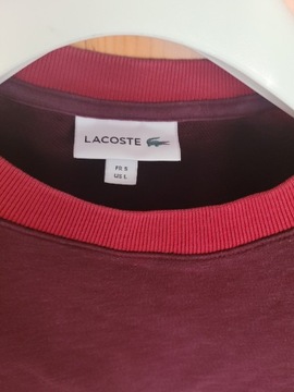 Bluza marki Lacoste!