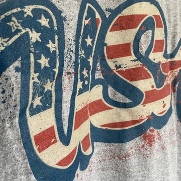 Koszulka T-shirt z nadrukiem USA Vintage Gildan