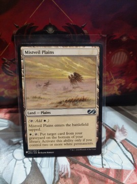 MTG: Mistveil Plains *(247/254)