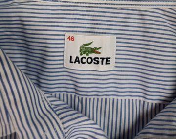 Lacoste biała koszula w niebieskie paski XxXL