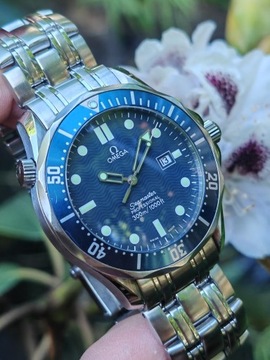 OMEGA Seamaster Professional 300M 2541.80