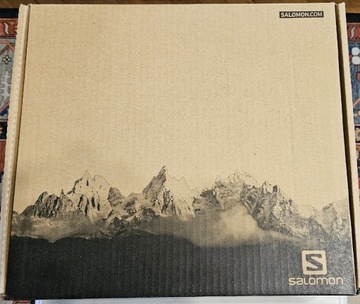 Salomon Cosmic 4D 2 GTX 42