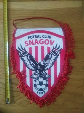 FC SNAGOV RUMUNIA