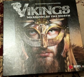 Vikings warriors od the north