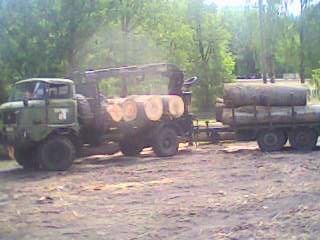 IFA w50l z żur. do drewna./poj.specjalny/.UNIMOG/