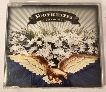 FOO FIGHTERS - BEST OF YOU SINGLE In your honor