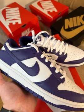 Nike Dunk Low Retro DD1391-104