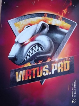 Virtus Pro Niska Cena Na Allegro Pl