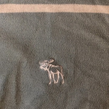 Męska koszulka polo w paski Abercrombie & Fitch