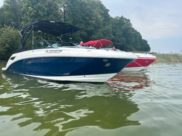 SEA RAY 250 SDX 2018