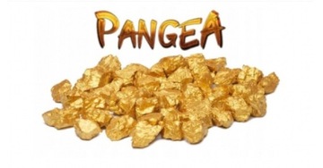 Pangeayt2 Pangea Bryle 300 КБ самая дешевая l *24/7 *