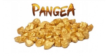 Pangeayt2 pangea bryłki 1kkb 24/7 *быстрая доставка *