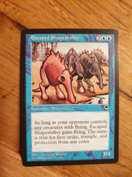 Escaped Shapeshifter Magic the Gathering