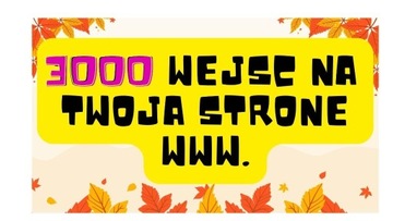 Ruch na twoja stronę www - 3000 wejść 