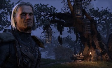 The Elder Scrolls Online: Саммерсет (XONE)