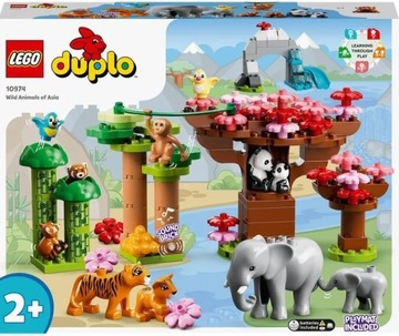 LEGO Duplo 10974 Кубики зоопарка «Дикие животные Азии»