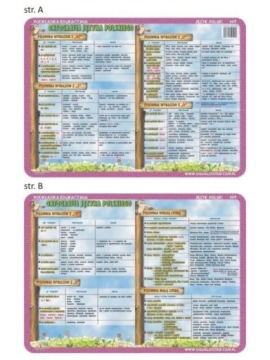 ЭДУ ПАД. 009 - ОРФОГРАФИЯ: CH, H, RZ, Ż, Ó..