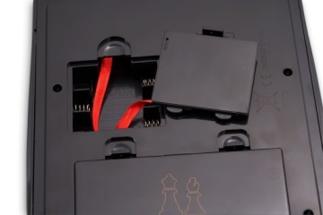 Чемпион Европы по шахматам Миллениум