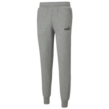 Spodnie męskie Puma ESS Logo Pants FL jasnoszare 586714 03 L