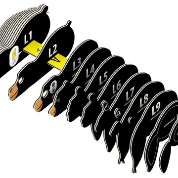 Senny Niedźwiedź Brunatny Samodzielnie Układanka